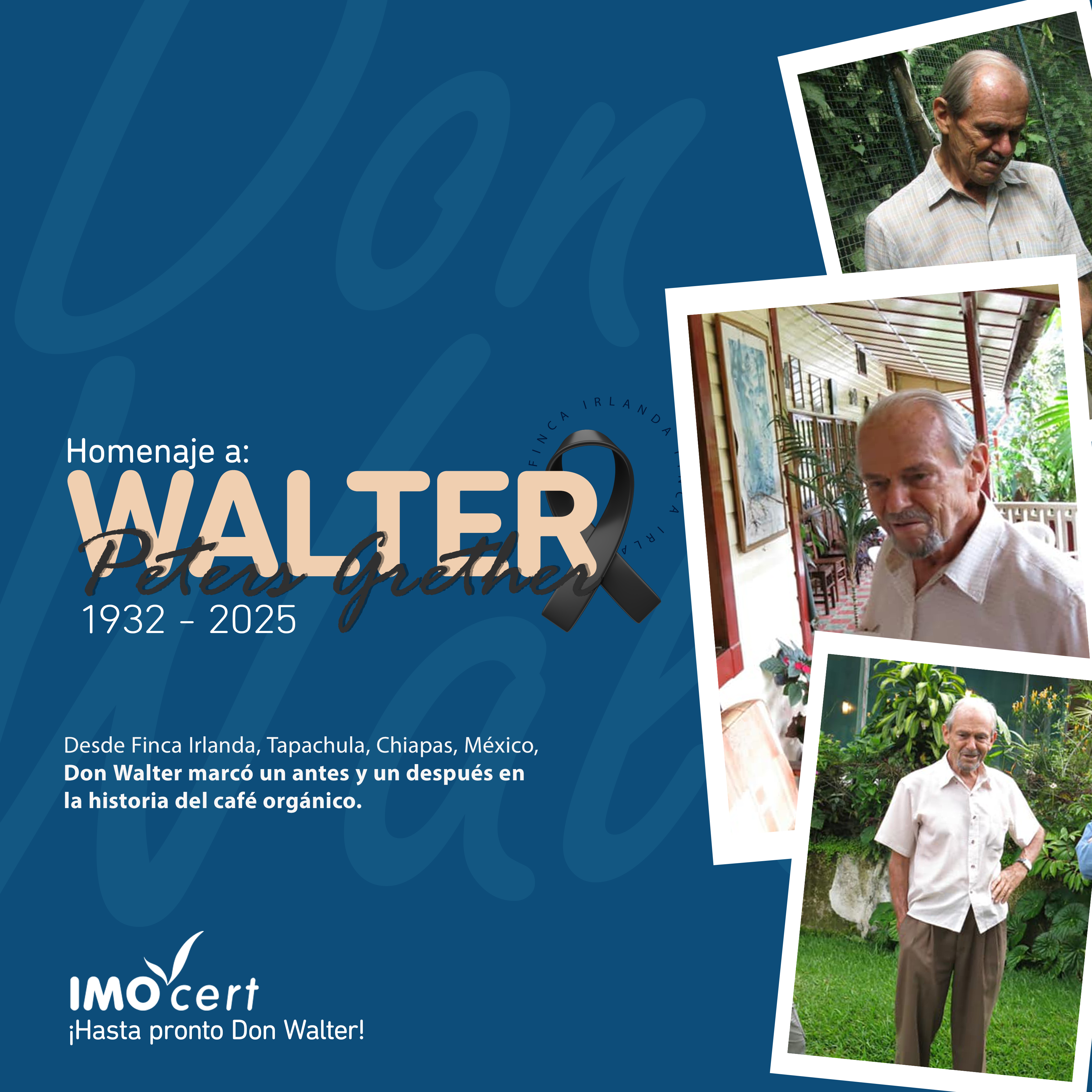 imocert