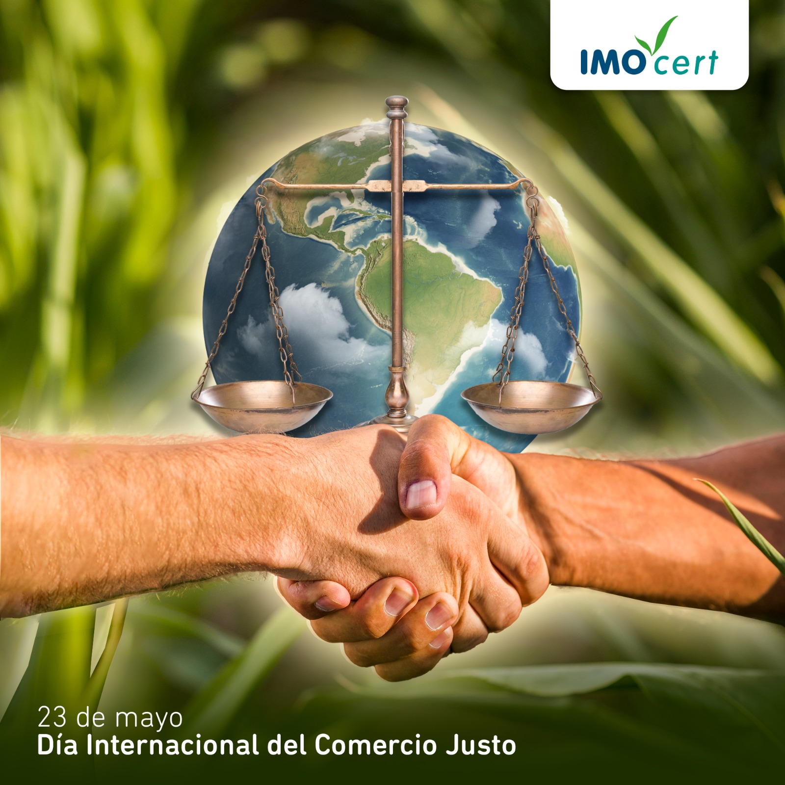 imocert