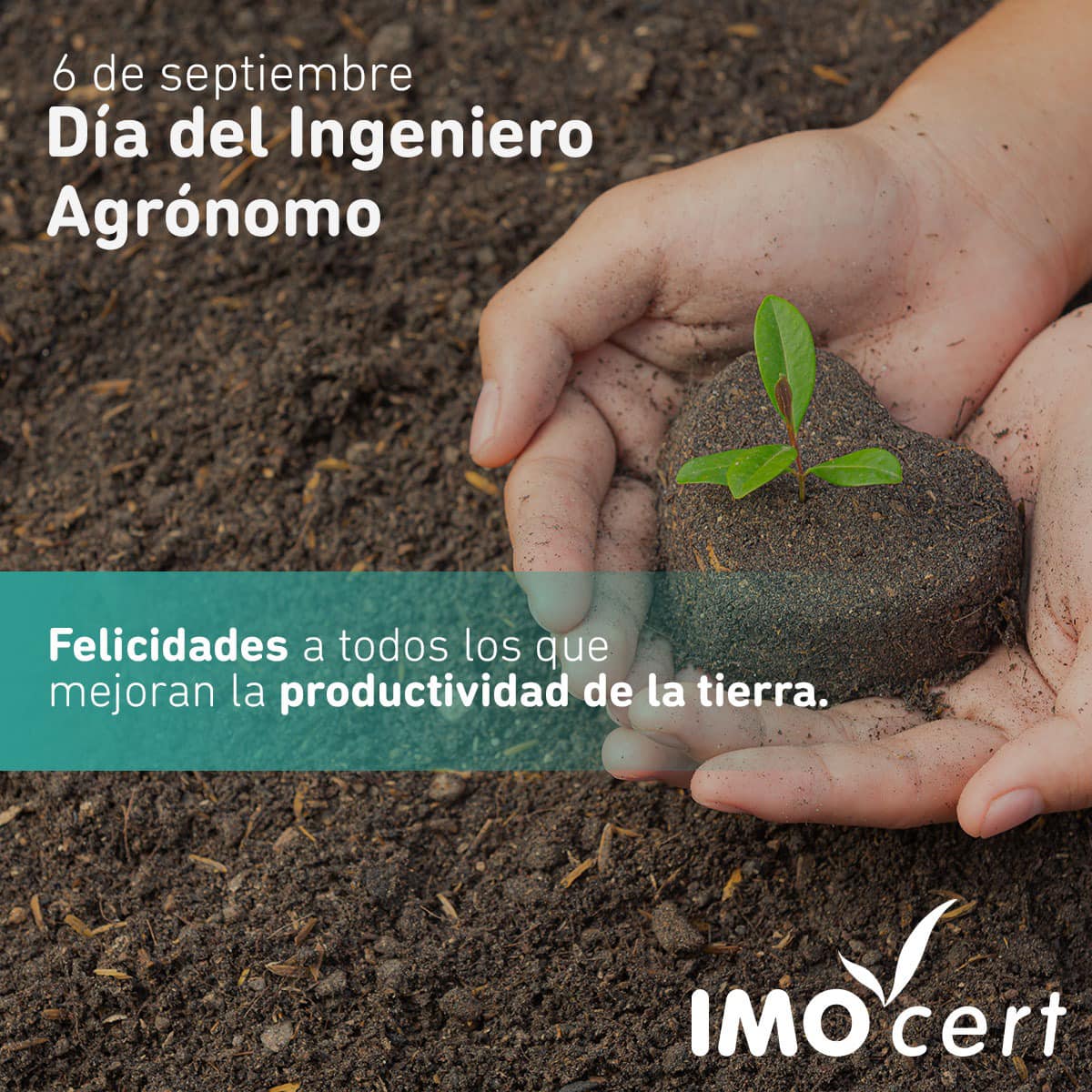 imocert